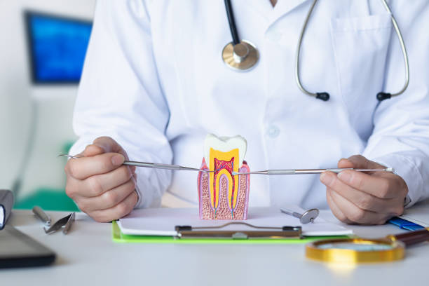 Best Urgent Care for Lost Fillings or Crowns in Mont Clare, PA